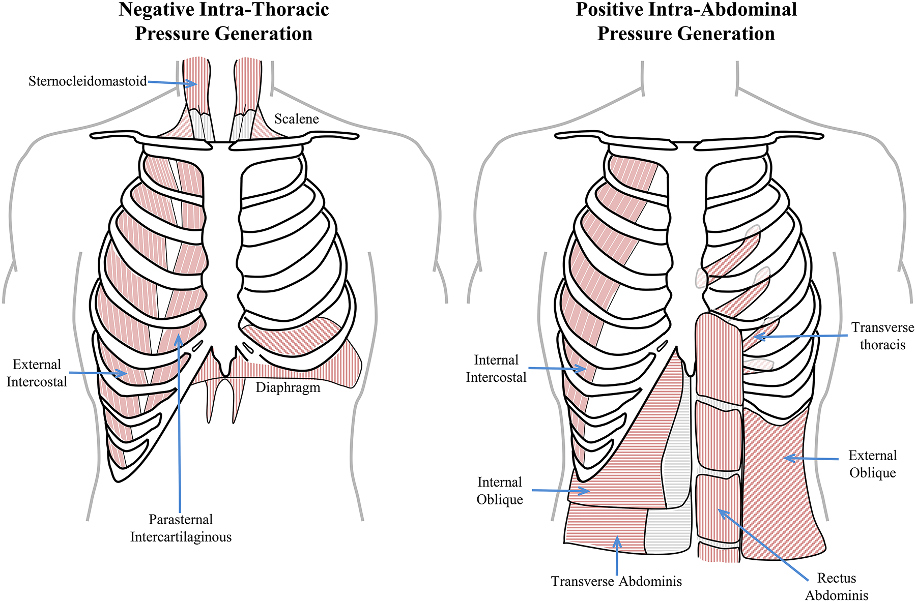 Figure 6: