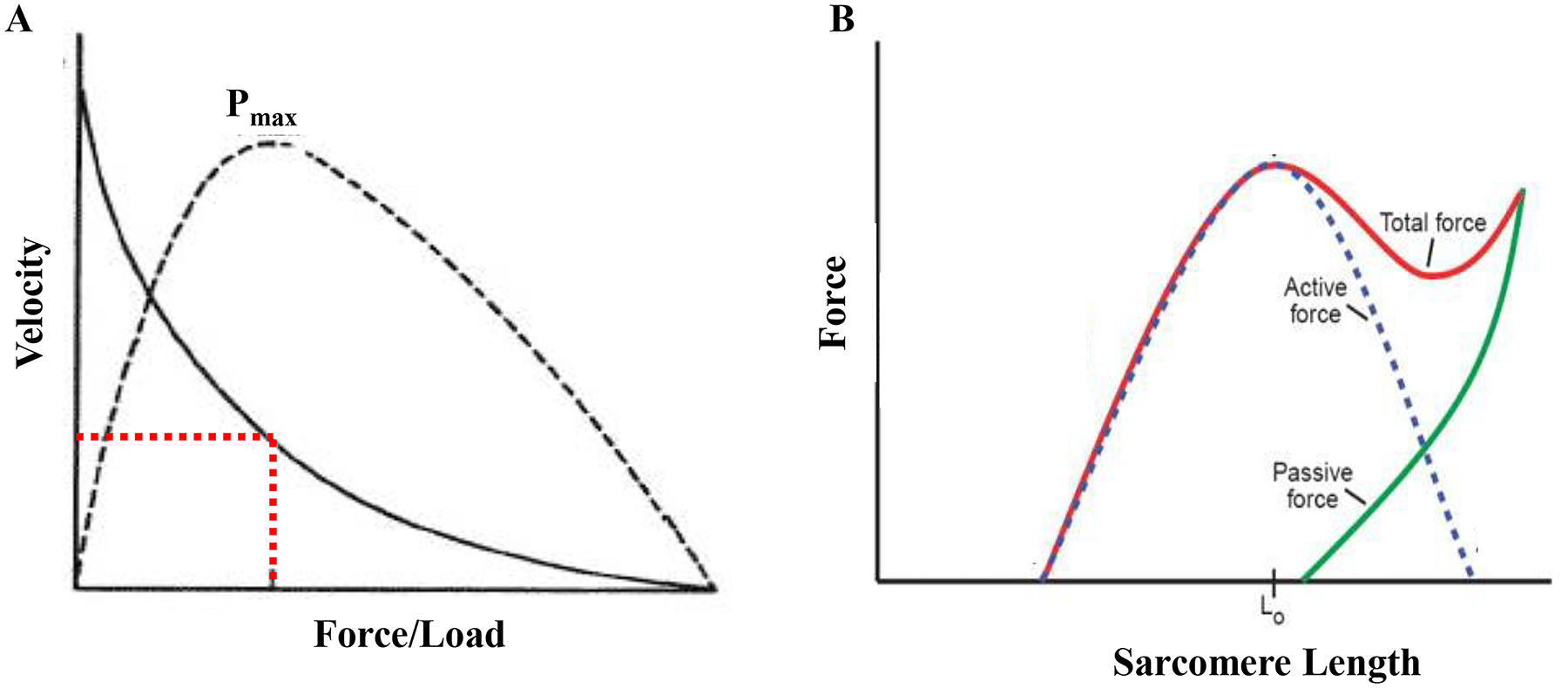 Figure 9:
