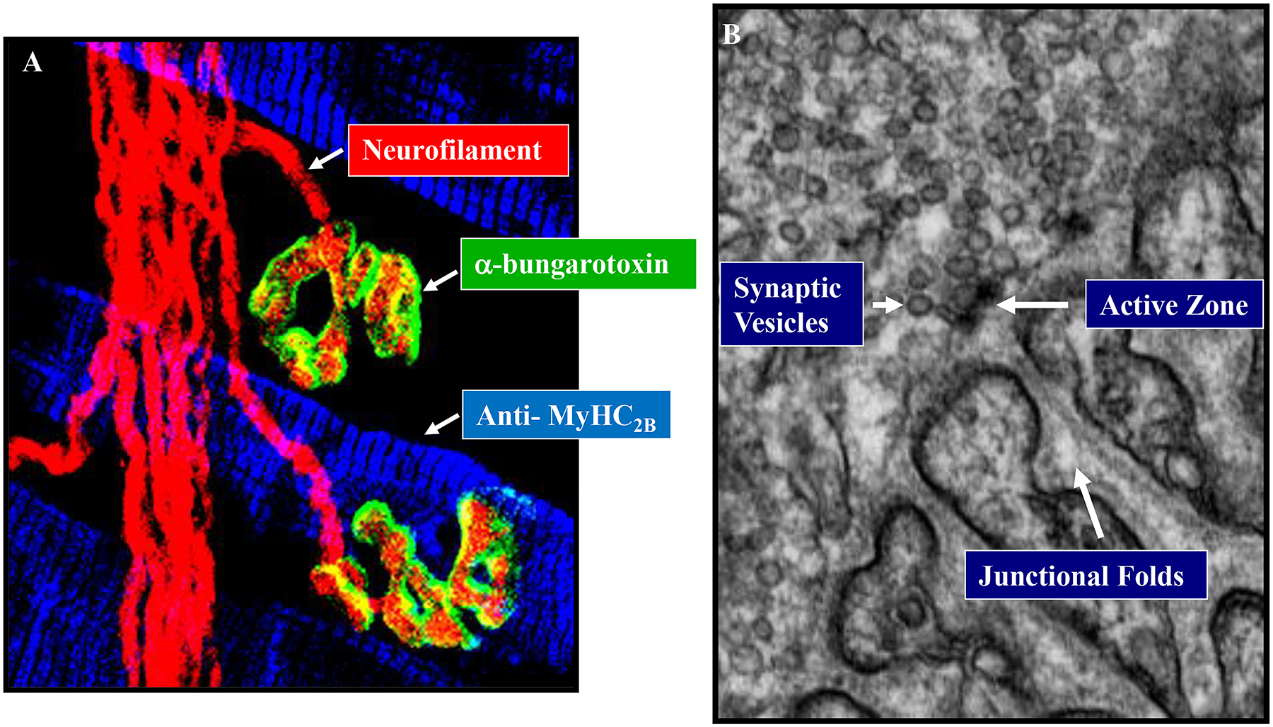 Figure 17: