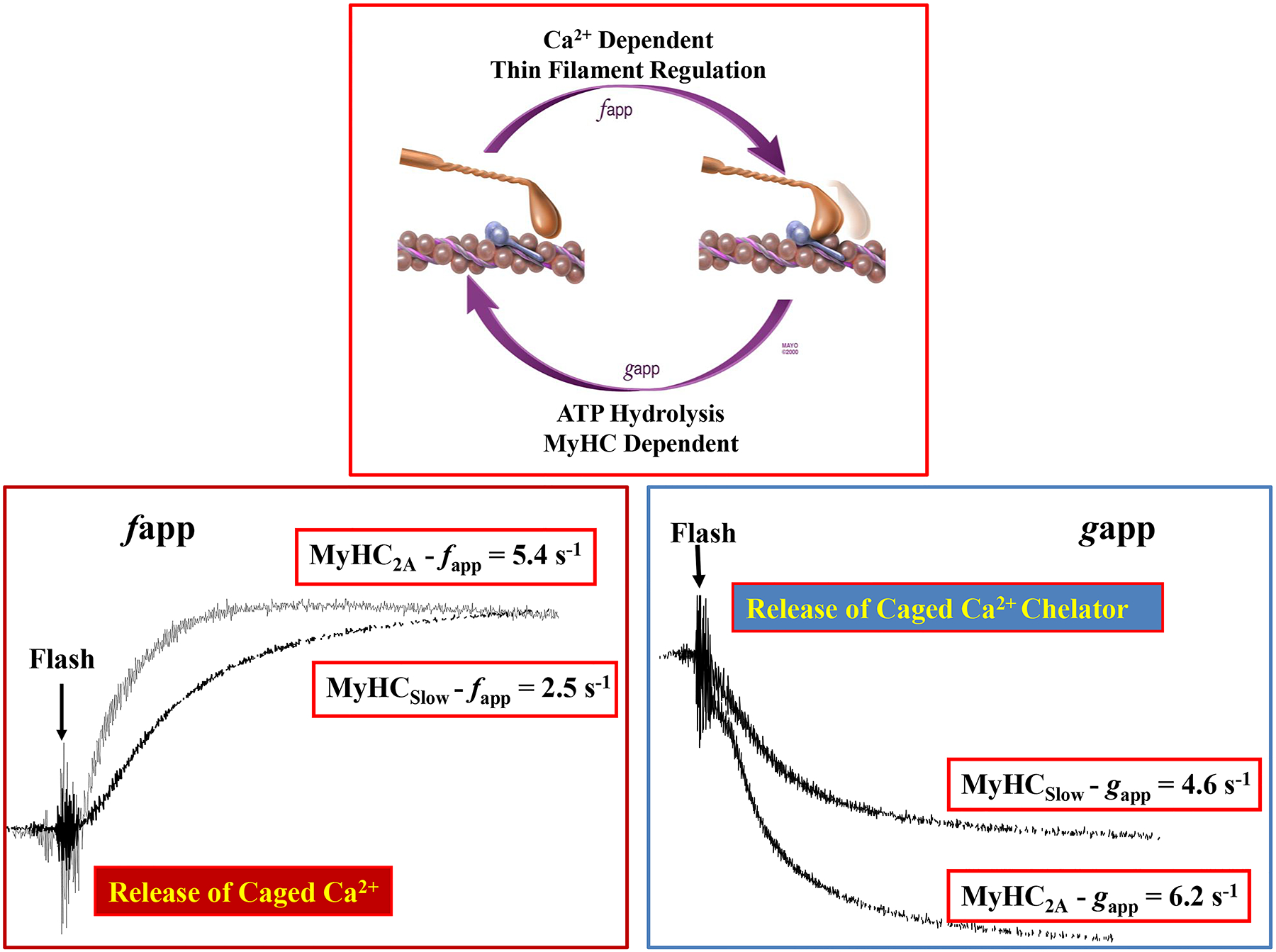 Figure 11: