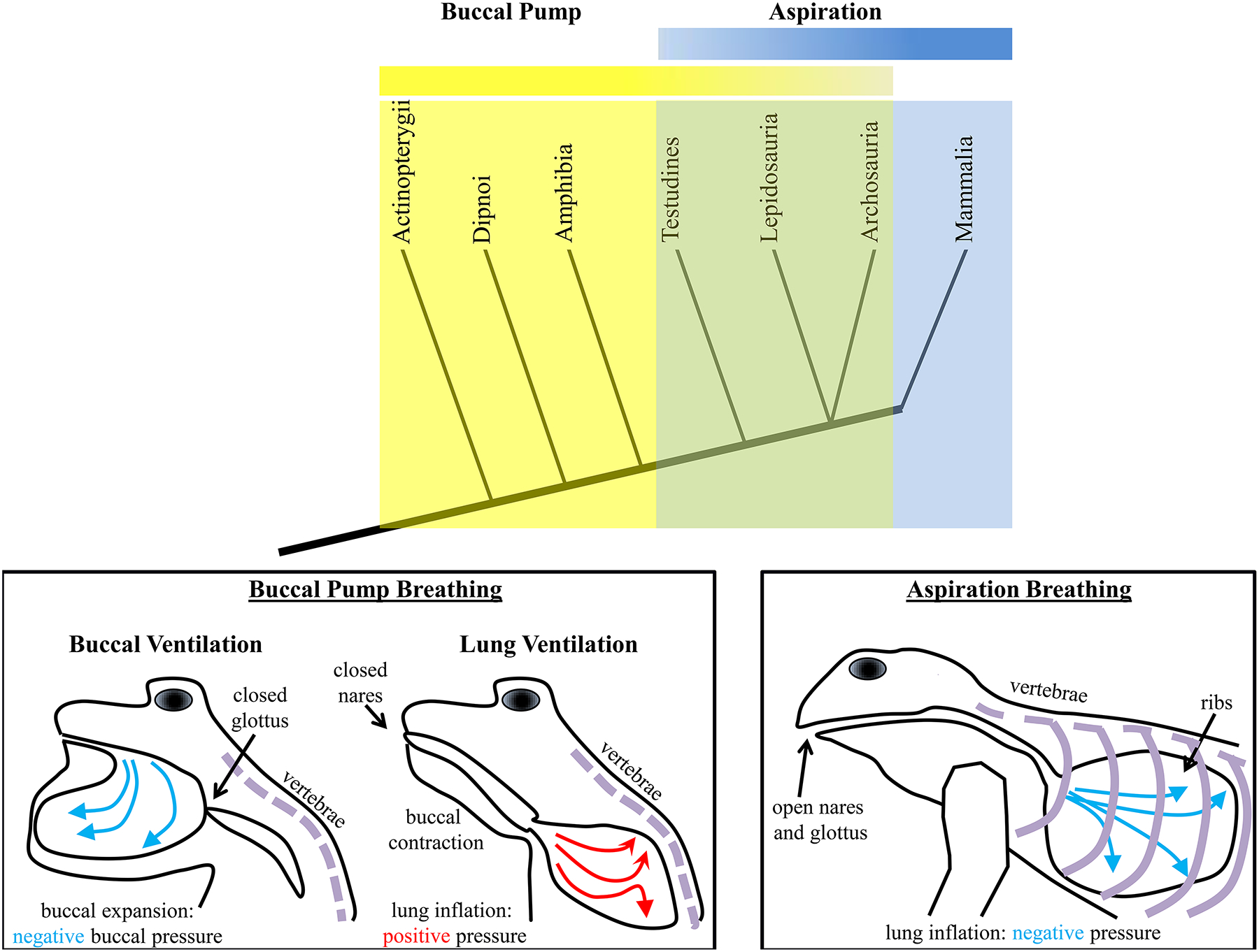Figure 4: