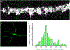 Figure 18: