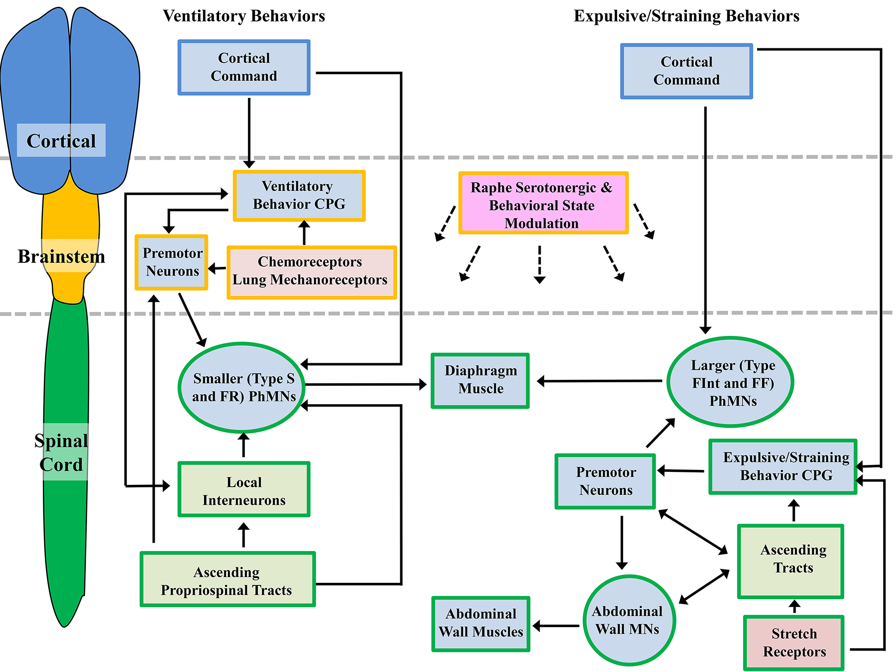 Figure 24: