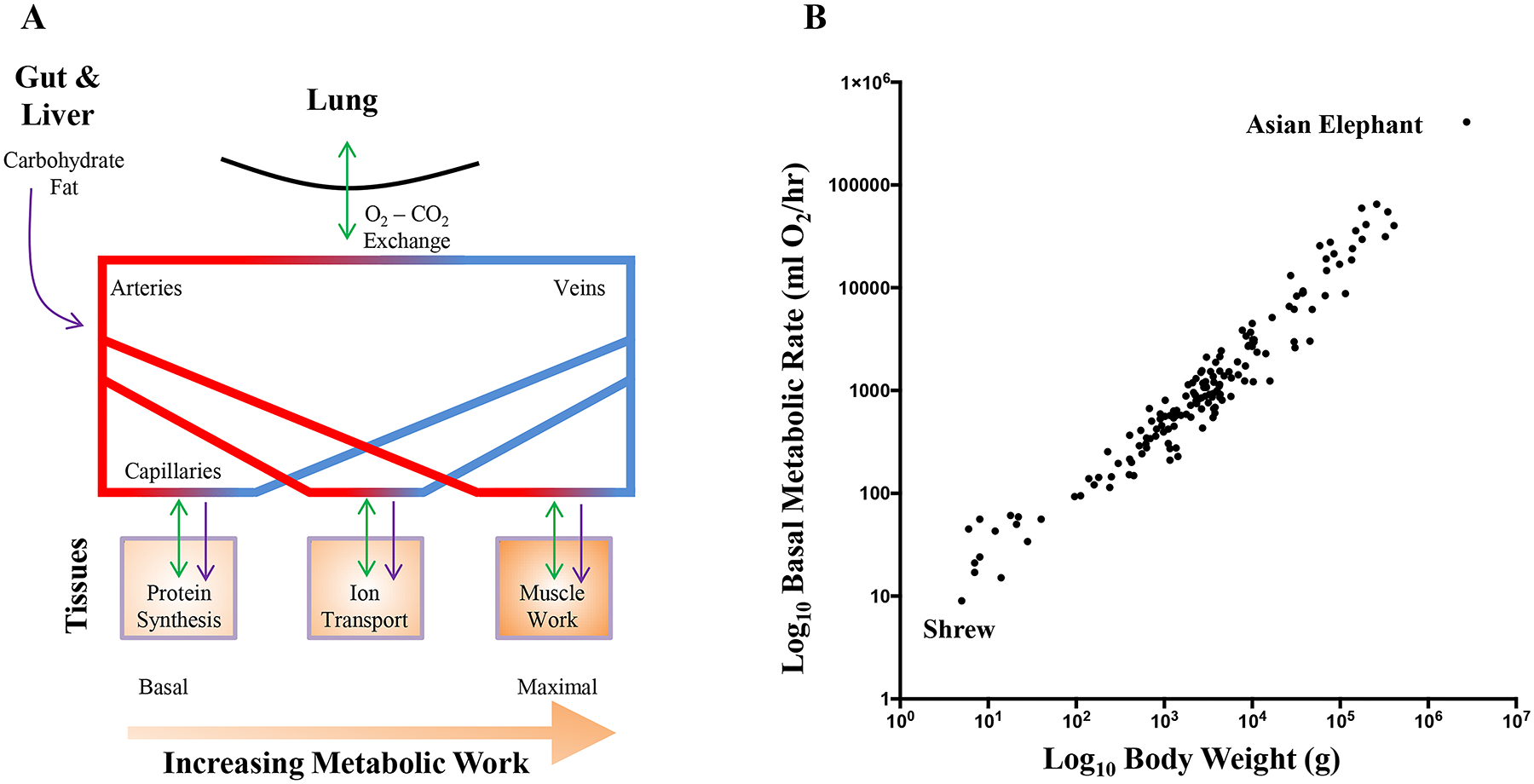 Figure 1: