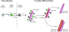 Figure 12: