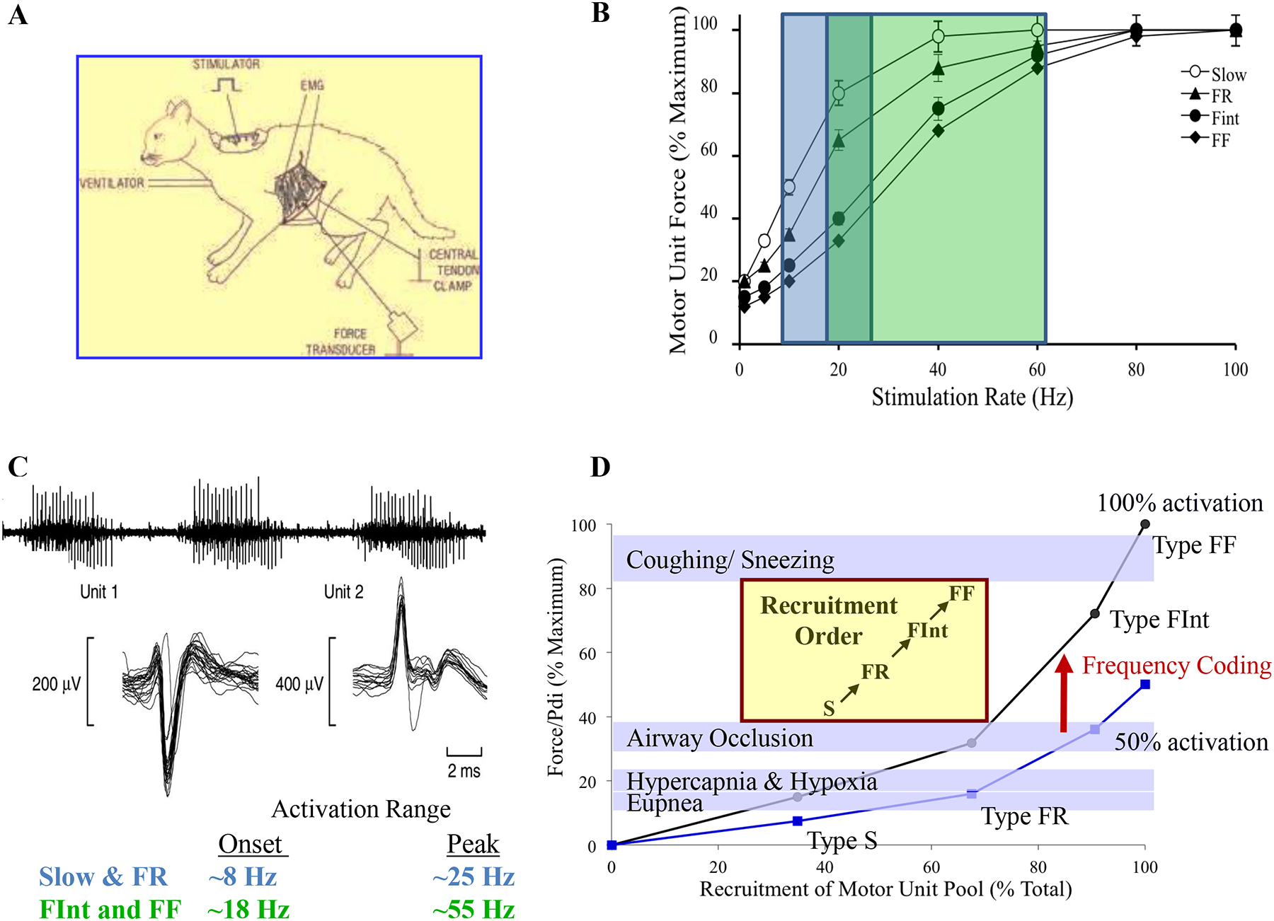 Figure 22: