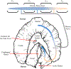Figure 16: