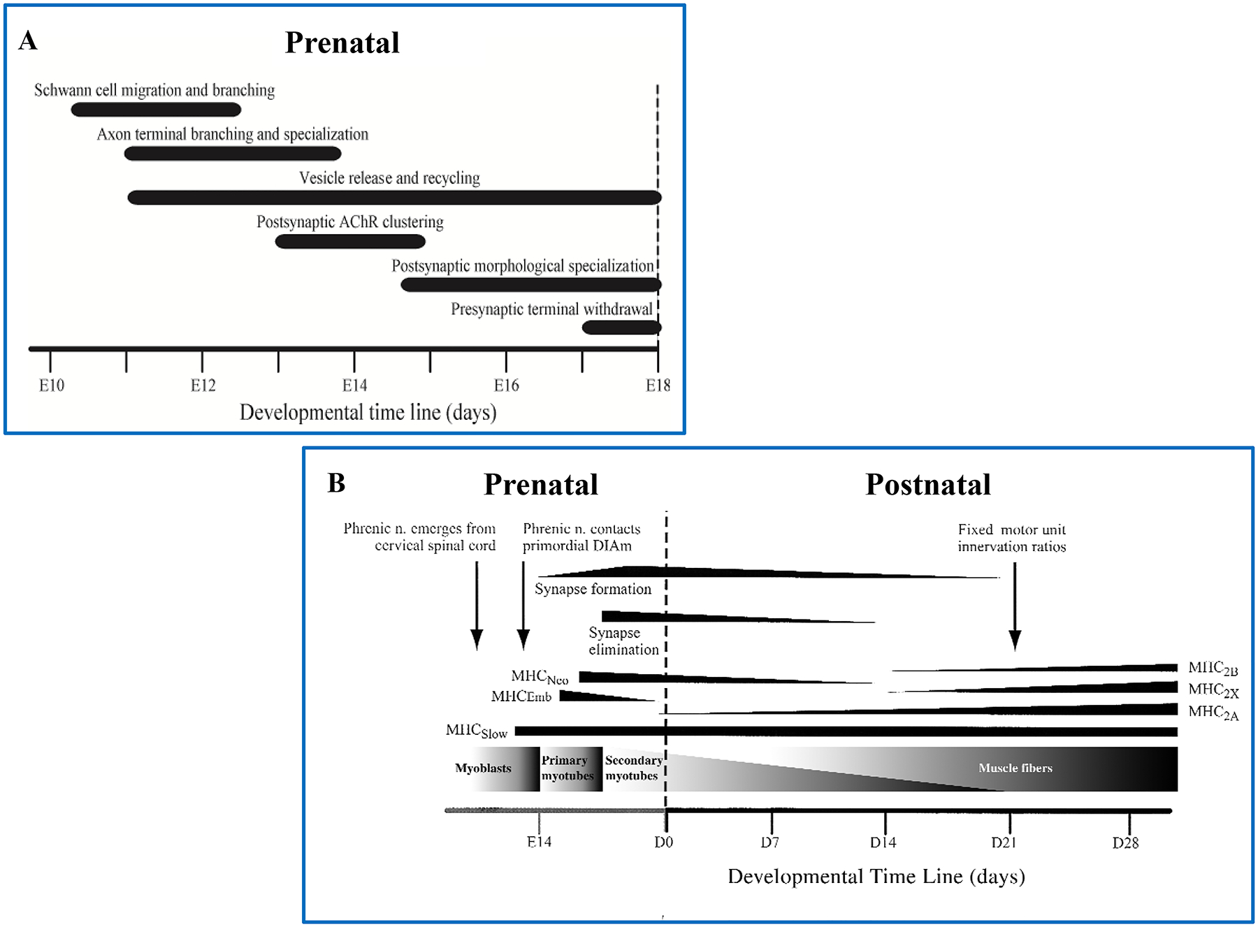 Figure 13: