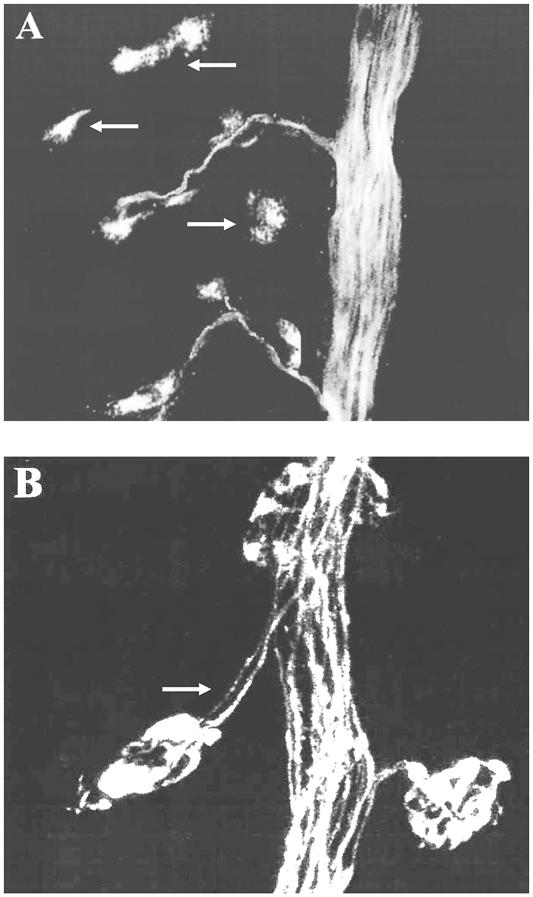 Figure 20:
