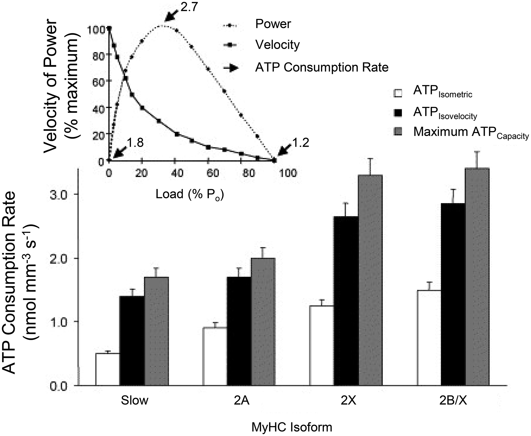 Figure 10: