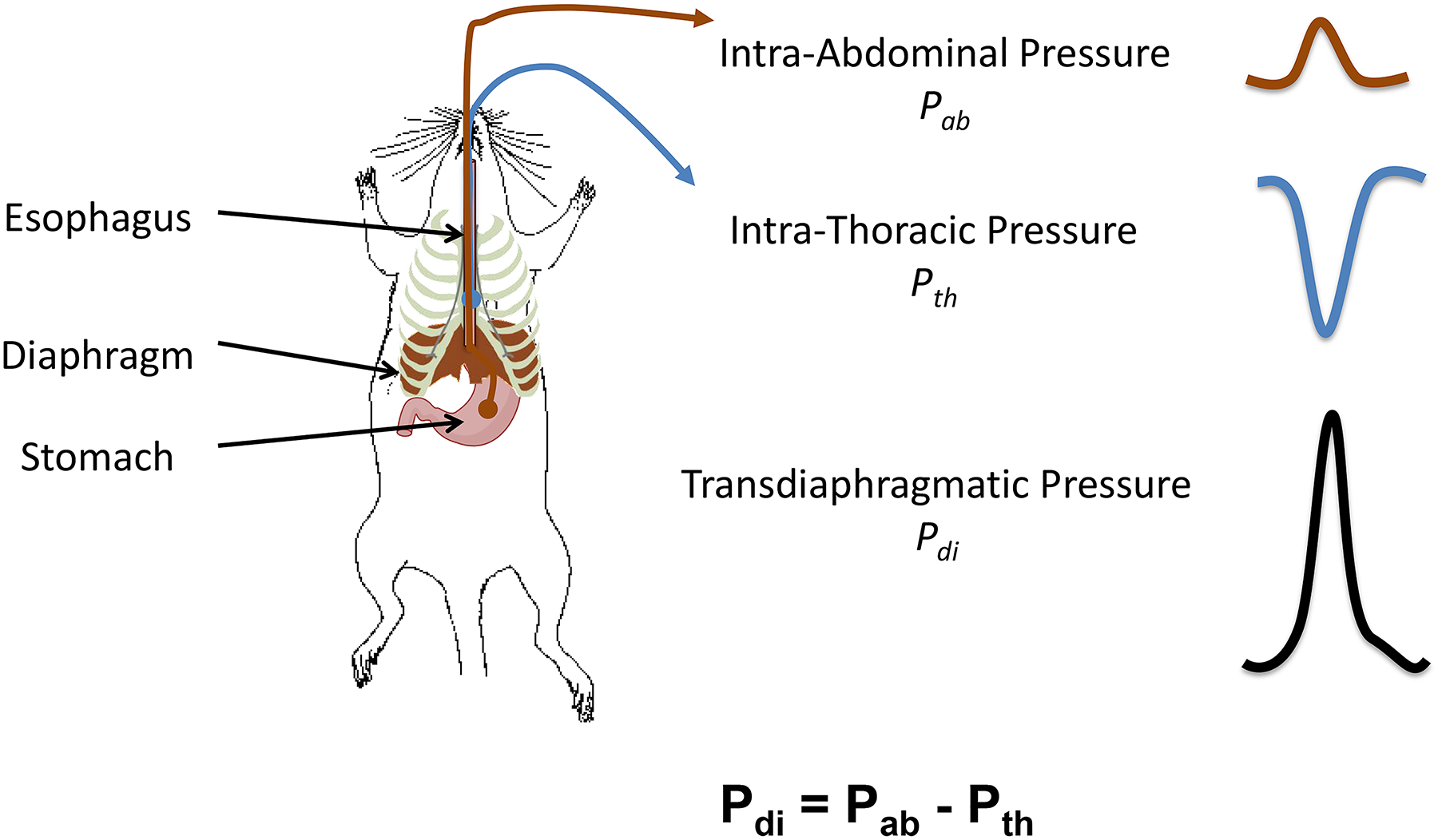 Figure 5: