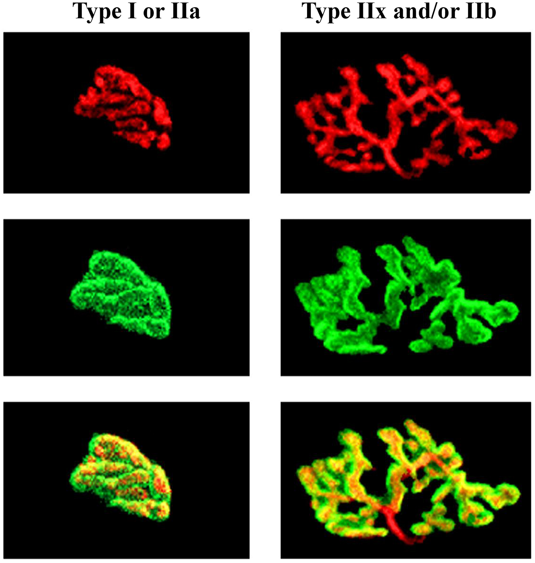 Figure 19: