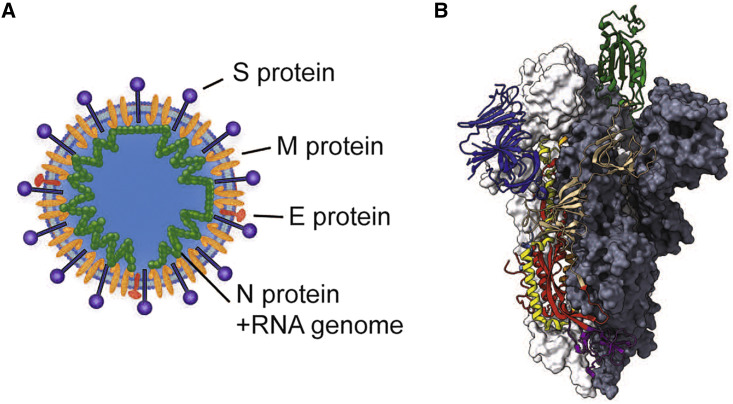 Figure 1