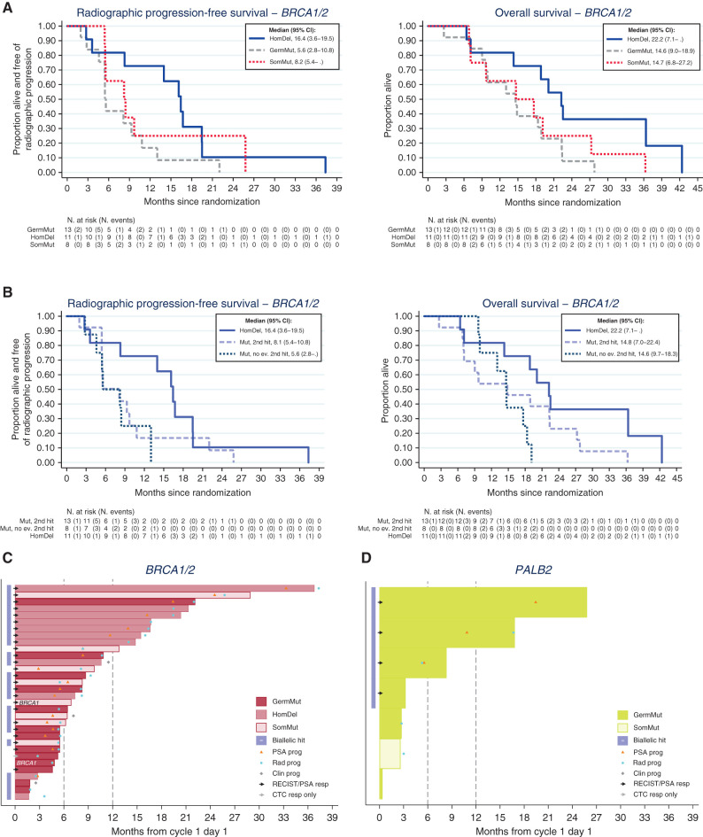 Figure 2. Outcomes with olaparib in the BRCA1/2 and PALB2 cohorts. A, Kaplan–Meier curves showing rPFS and OS in BRCA1/2 cohort depicting homozygous deletions, germline and somatic mutations: Tumors with homozygous BRCA deletions have the best outcomes. B, Kaplan–Meier curves rPFS and OS in BRCA1/2 cohort depicting outcomes in homozygous deletions and mutated genes with or without a detectable second hit. C, Swimmer plots depicting time on treatment per origin/type alterations in BRCA1/2 patients. D, Swimmer plots depicting time on treatment per origin/type alterations in PALB2 patients.