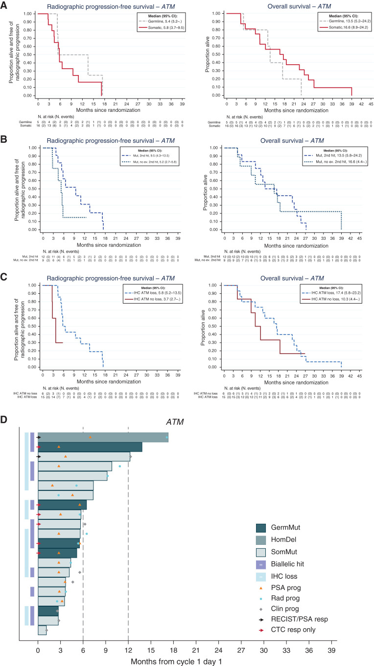 Figure 3. Outcomes with olaparib in ATM-altered prostate cancer indicating that complete ATM loss associates with better outcome on PARP inhibition. A, Kaplan–Meier curves depicting rPFS and OS outcomes in the prostate cancer cohort treated with olaparib and germline and somatic mutations. B, Kaplan–Meier curves depicting rPFS and OS outcomes with olaparib treatment in prostate cancers with and without second detectable genomic hits on the ATM gene. C, Kaplan–Meier curves depicting rPFS and OS outcomes in patients with prostate cancer treated with olaparib in the ATM cohort with and without ATM loss by IHC. D, Swimmer plots depicting time on treatment per origin/type alterations in the ATM gene.