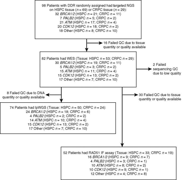 Figure 1. Consort diagram showing the sample disposition in this study. HSPC, hormone-sensitive prostate cancer; QC, quality control.