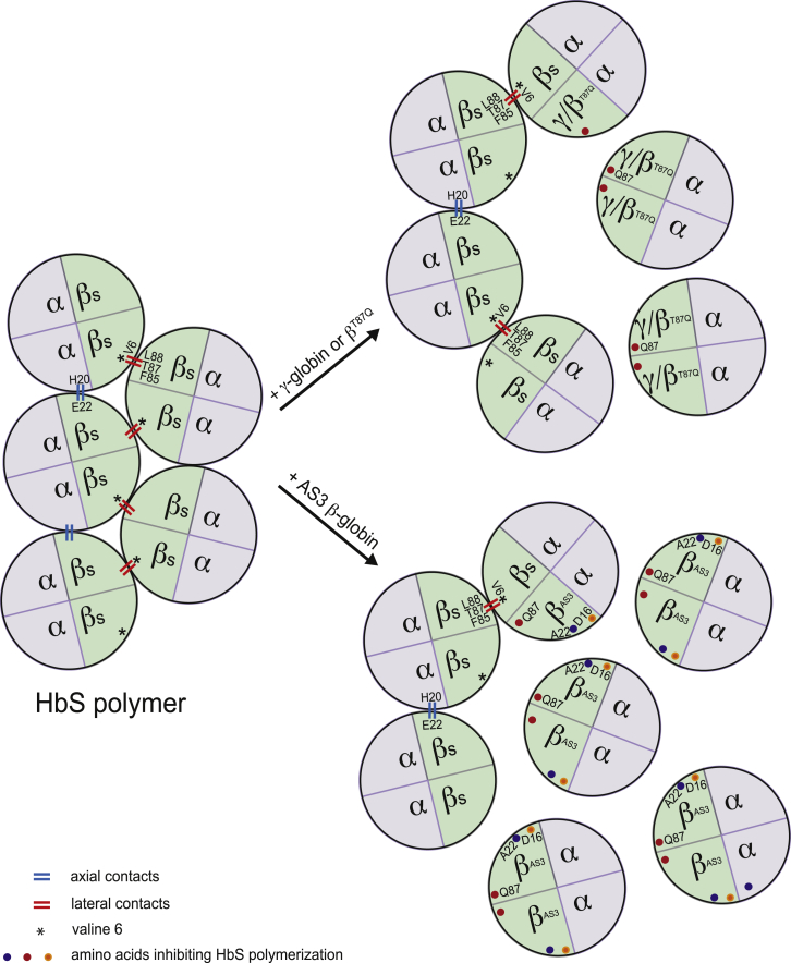 Figure 3