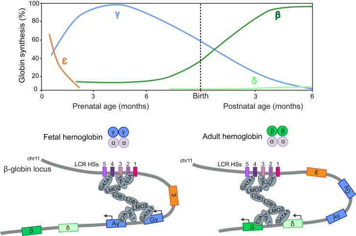 Figure 1