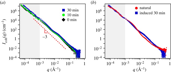 Figure 7.