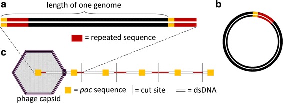 Fig. 12