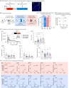 Natural (CS-induced) and artificial (optogenetic reactivation of neurons in an engram ensemble) conditioned threat memory retrieval induce similar freezing and USV behaviour. 