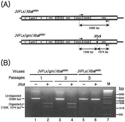 FIG. 6.