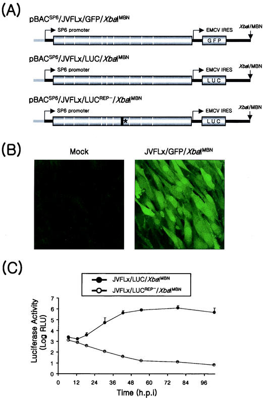 FIG. 8.