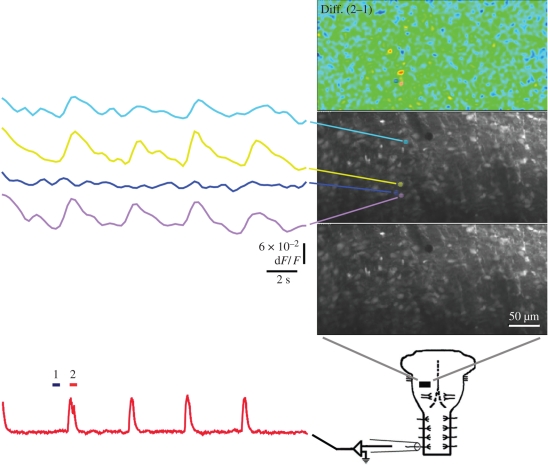 Figure 4.