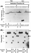 FIG. 7.