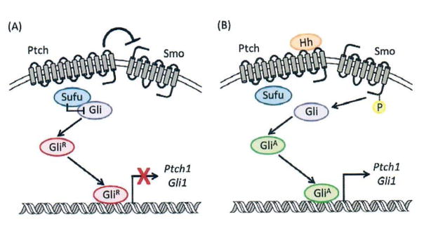 Fig. (1)