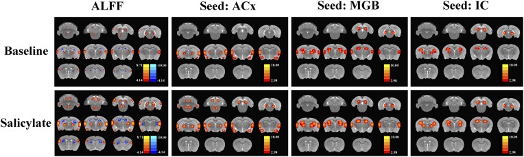 Figure 4—figure supplement 1.