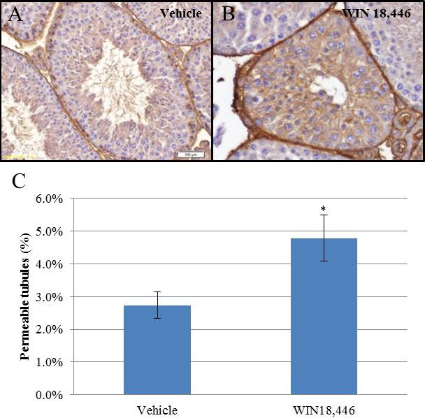 FIG. 6