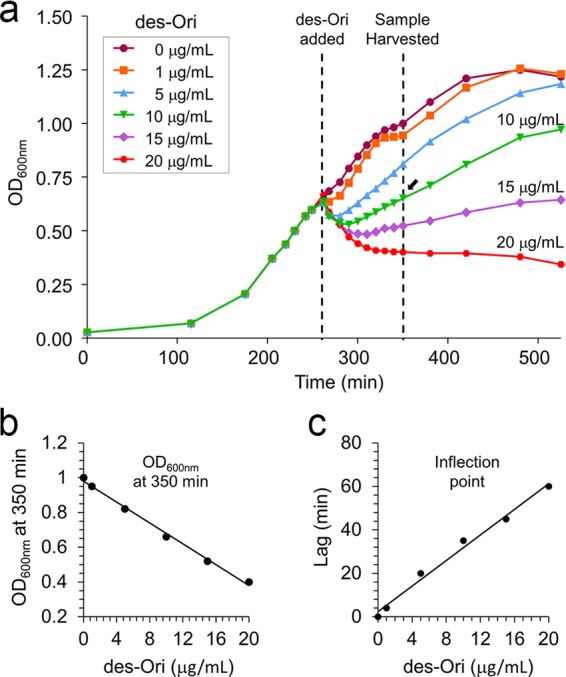 FIG 2