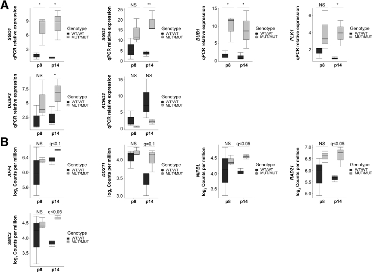 Figure 2