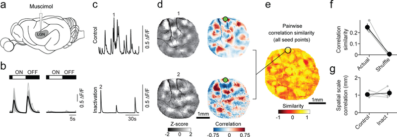 Figure 6: