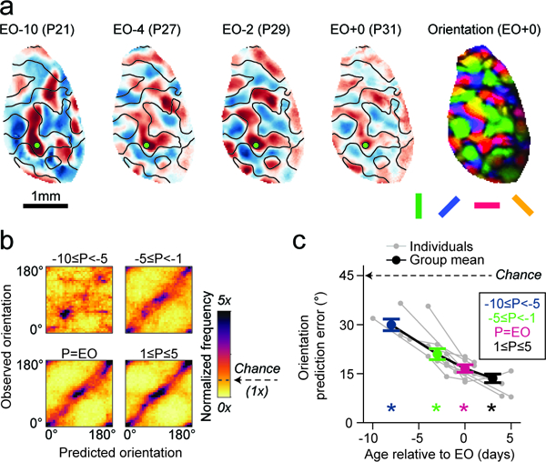 Figure 5: