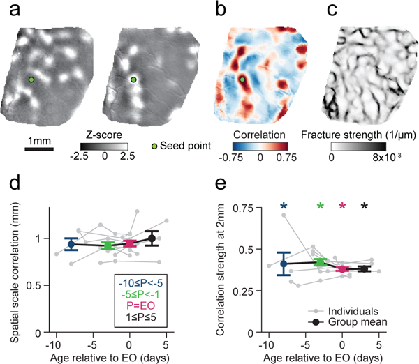 Figure 4: