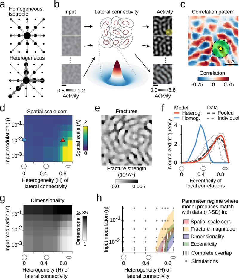 Figure 7: