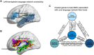 Fig. 4.