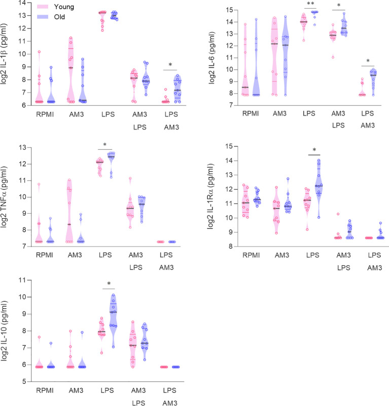 Figure 2