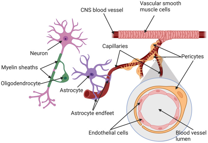 FIGURE 2