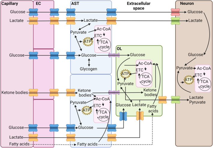 FIGURE 3