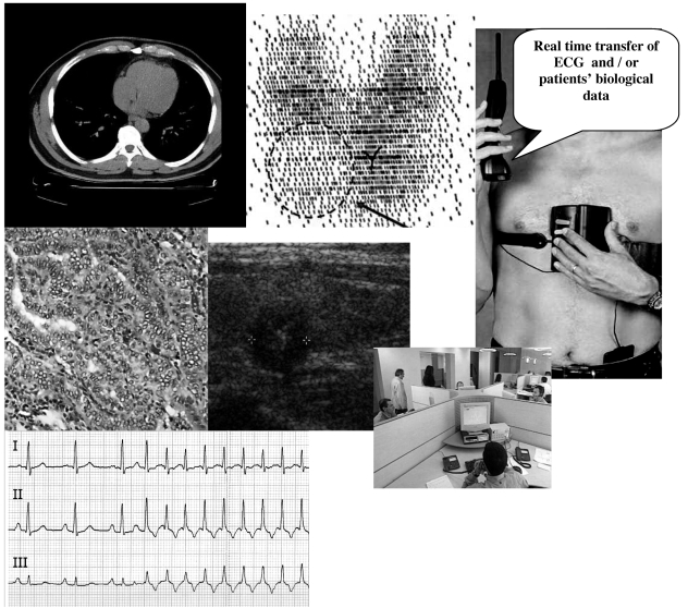 Fig. 1