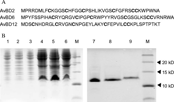 Fig. 5