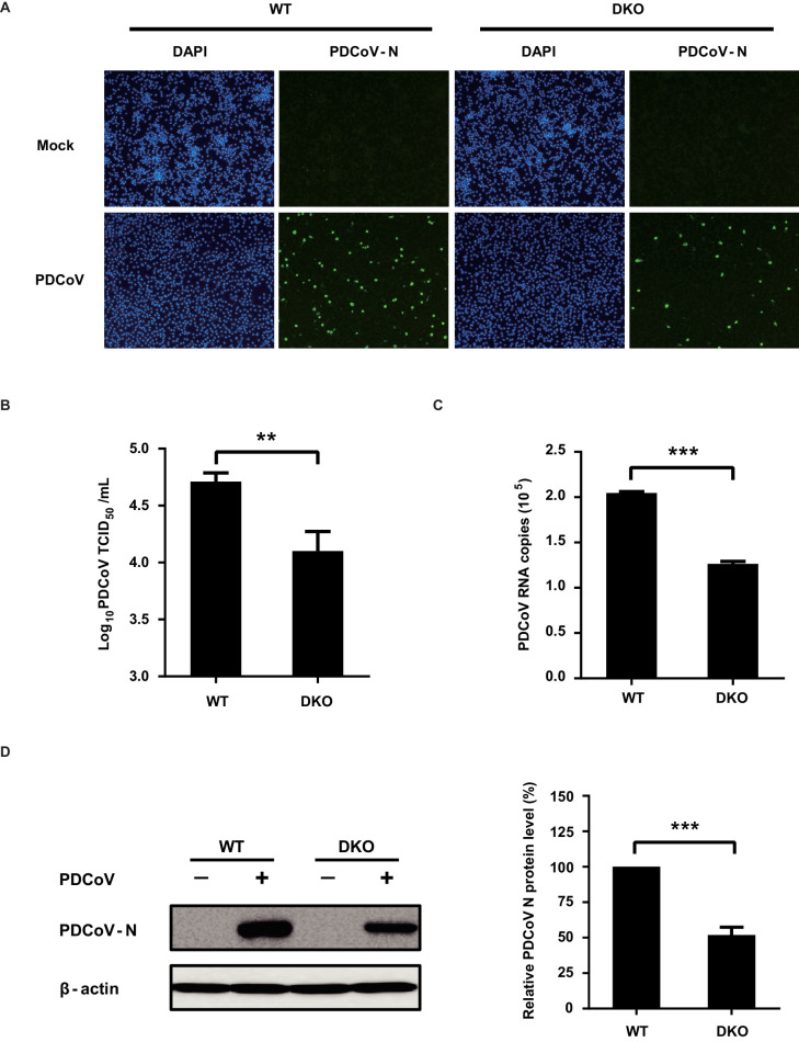 Figure 4—figure supplement 1.