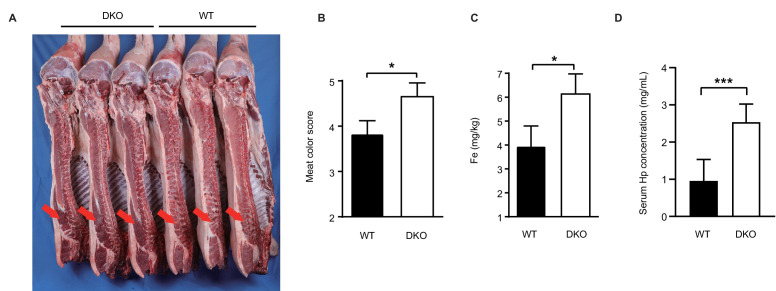 Figure 5.