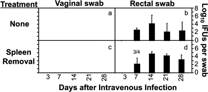 FIG 2