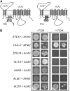 Figure 11.