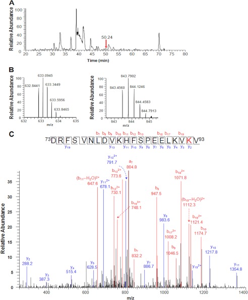 FIGURE 10.