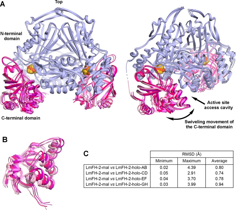 Figure 5